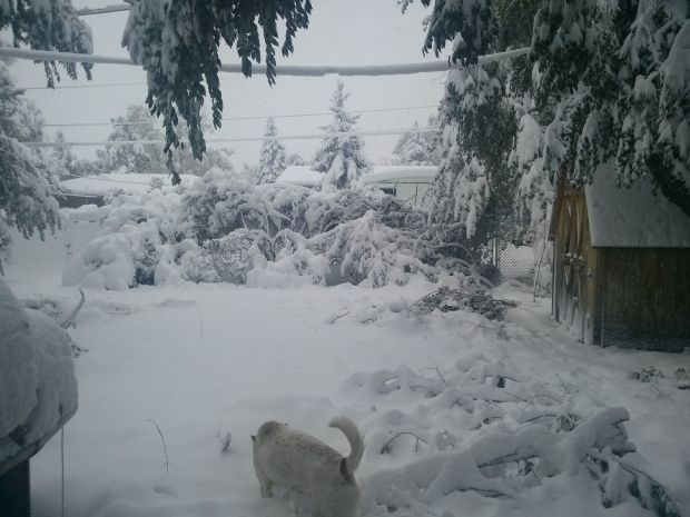Winter Storm Atlas
